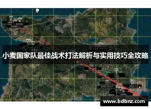 小麦国家队最佳战术打法解析与实用技巧全攻略