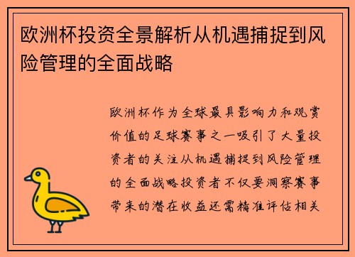 欧洲杯投资全景解析从机遇捕捉到风险管理的全面战略